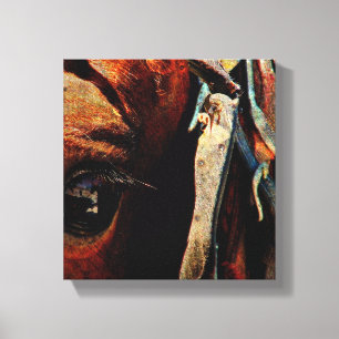 Amish Horse Grunge Canvas Print