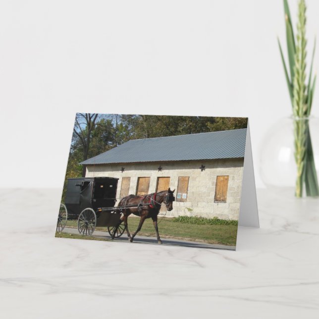 Amish Horse in Bentonsport, Iowa Birthday Card (Front)