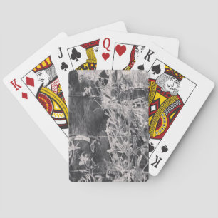 Amish Horse in Black and White Grunge Playing Cards