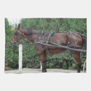 Amish Horse Kitchen Towel