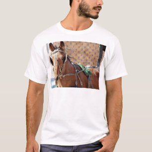 Amish Horse T-Shirt