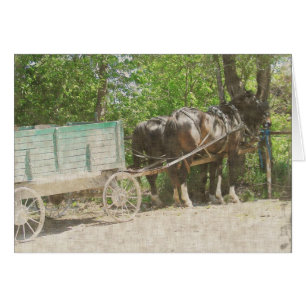 Amish Horses and Wagon