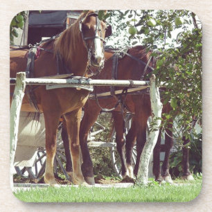 Amish Horses at the Hitching Post Around Apples Coaster