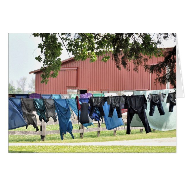 Amish Laundry (Front Horizontal)