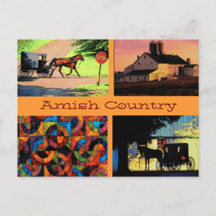 Amish Montage Postcard