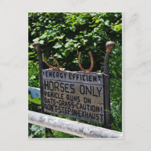 Amish Parking Postcard