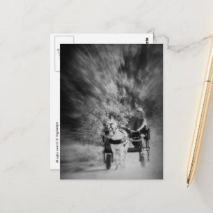Amish Pony Cart Black and White Motion Blur Postcard