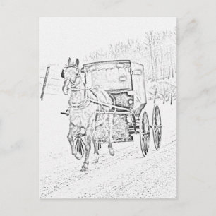 Amish Sketch-Horse and Buggy-Postcard Postcard