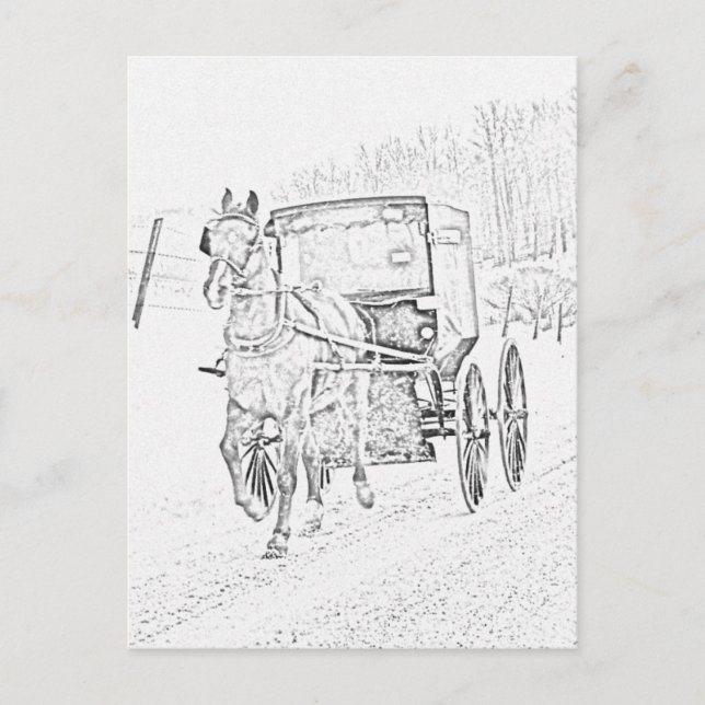 Amish Sketch-Horse and Buggy-Postcard Postcard (Front)