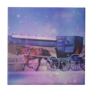 Amish Space Tile
