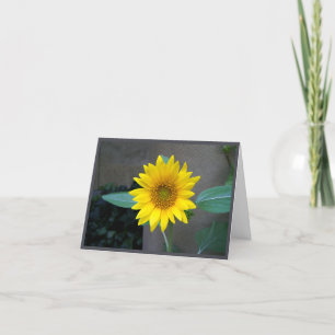 Amitié, merci, carte tournesol