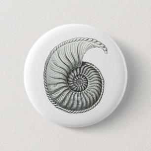 Ammonite 2 Inch Round Button