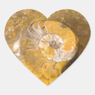 Ammonite and Other Fossils in Rock Photography Heart Sticker