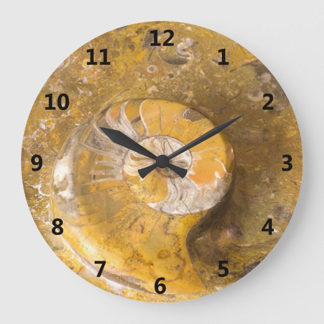 Ammonite and Other Fossils in Rock Photography Large Clock (Front)