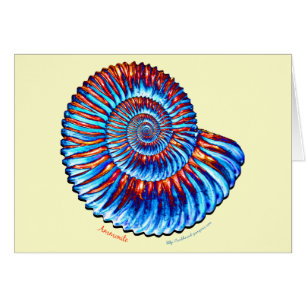 Ammonite fossil