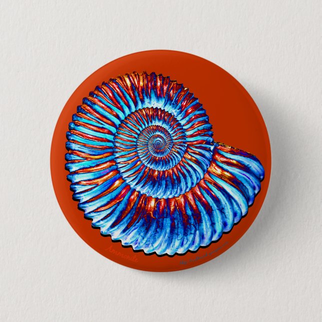Ammonite fossil 2 inch round button (Front)