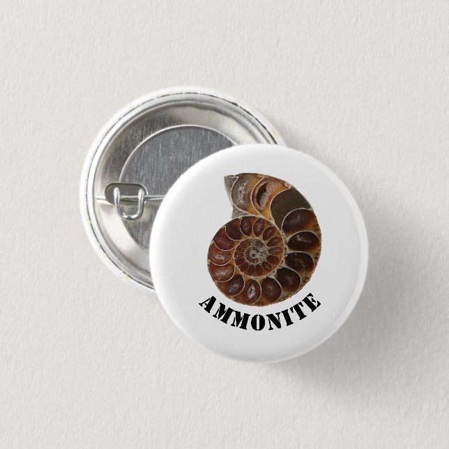 Ammonite Fossil  Button (Front & Back)