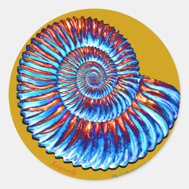 Ammonite fossil classic round sticker (Front)