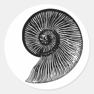 Ammonite Fossil Classic Round Sticker