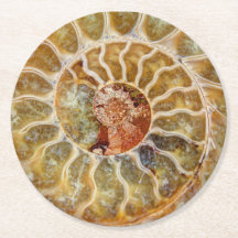 Ammonite Fossil Coaster