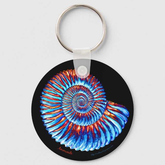 Ammonite fossil keychain (Front)