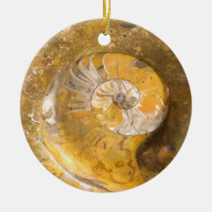 Ammonite Fossil Rock Nature Photography Ceramic Or Ornament