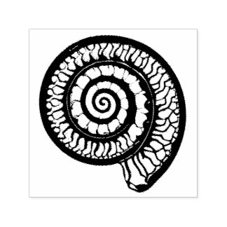 Ammonite Fossil - Spiral Seashell Self-inking Stamp