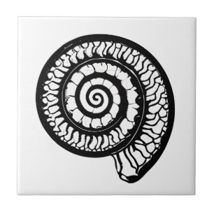Ammonite Fossil - Spiral Seashell Tile