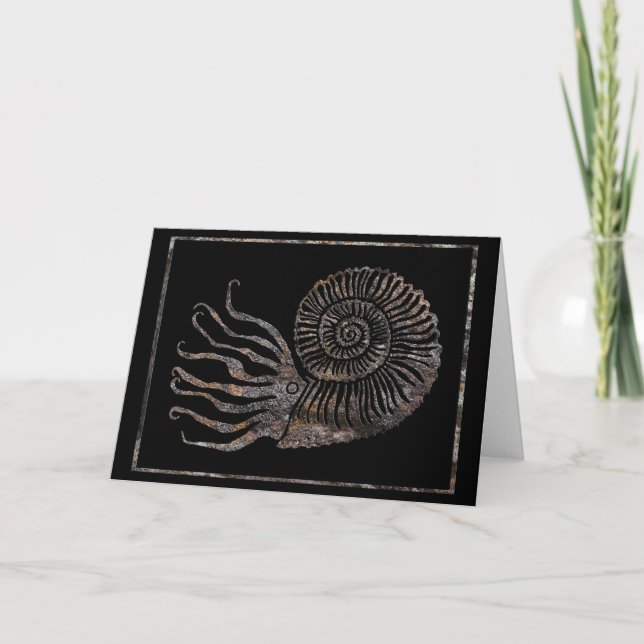 Ammonite Fossil Talking Canyons, New Mexico Card (Front)