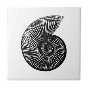 Ammonite Fossil Tile
