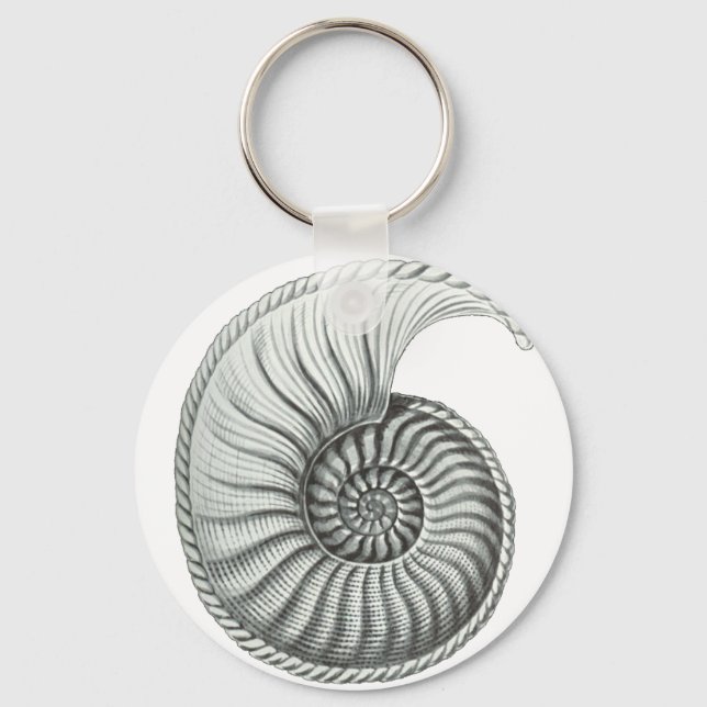 Ammonite Keychain (Front)