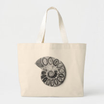 Ammonite