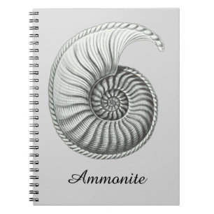 Ammonite Notebook