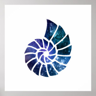 Ammonite Silhouette Art Poster