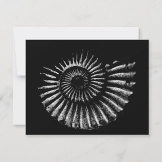 Ammonite White on Black Flat Holiday Card