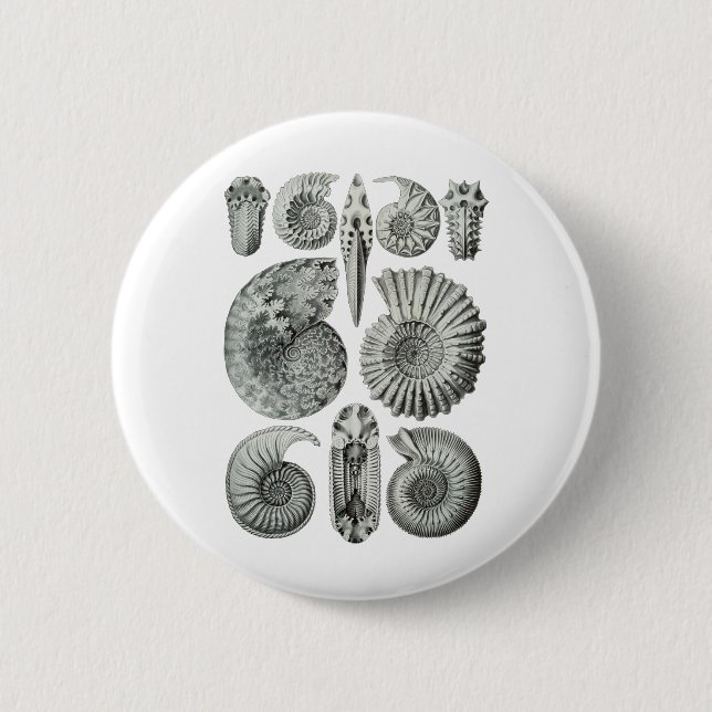 Ammonites 2 Inch Round Button (Front)