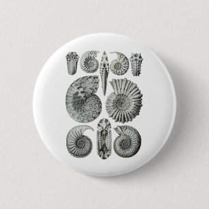 Ammonites 2 Inch Round Button