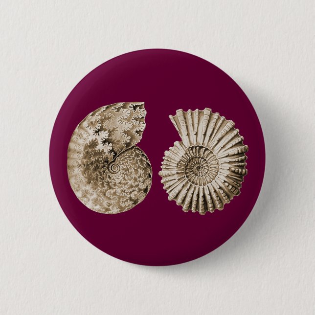 Ammonites 2 Inch Round Button (Front)