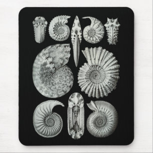 Ammonites Mouse Pad