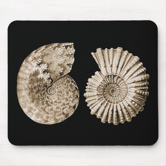 Ammonites Mouse Pad (Front)