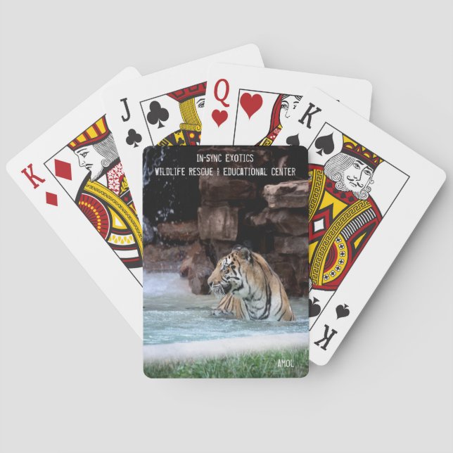 Amol - playing cards (Back)