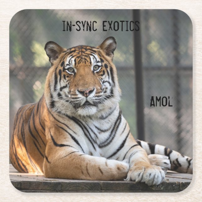Amol - square paper coaster (Front)