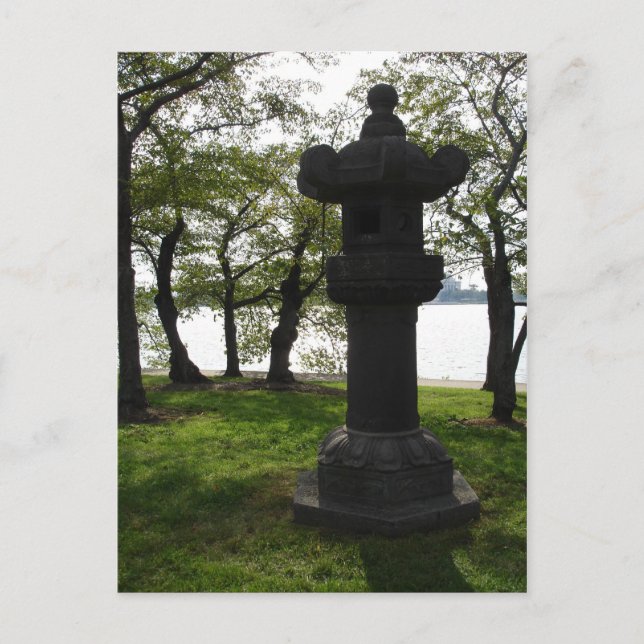 Among the Cherry Trees Postcard (Front)