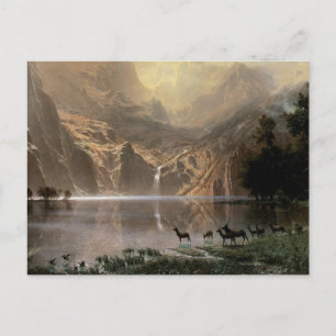 Among the Sierra Nevada Mountains Postcard