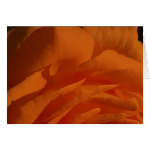 Amor de MI d'eres de Tú, vida de MI