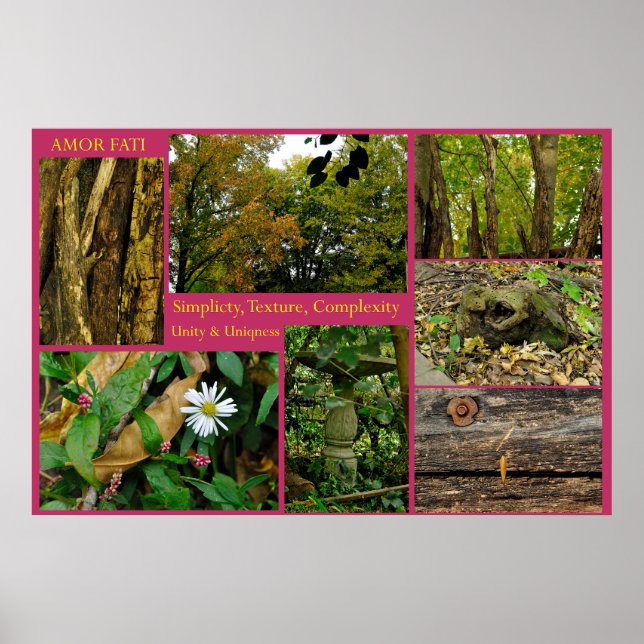 Amor Fati Poster (Front)