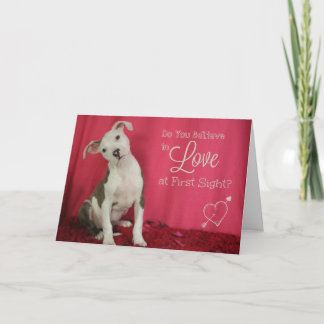 Amour à la première carte d'amour de chiot de vue