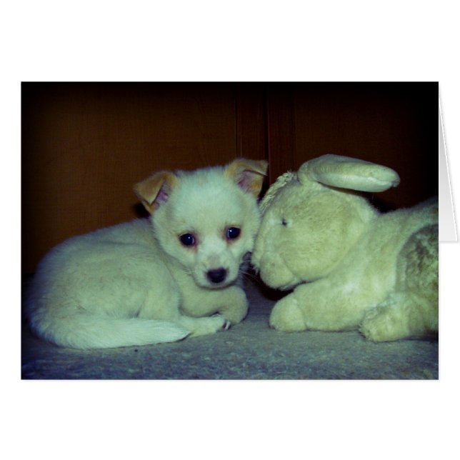 Amour au premier regard (Devant horizontal)