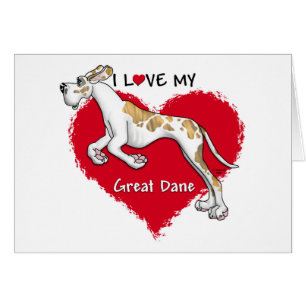 Amour Brindlequin Great Dane UC