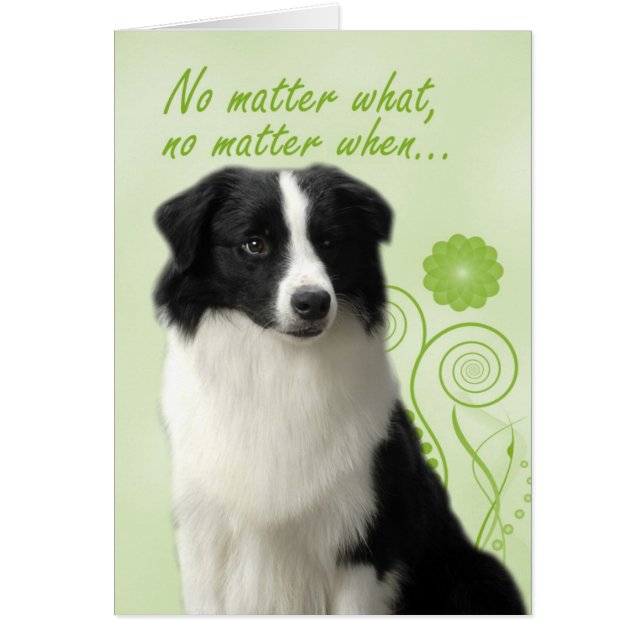 Amour de border collie/carte de Suppport (Devant)